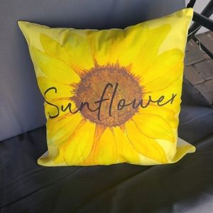 Handmade plush throw pillow!
